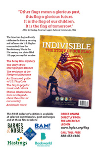 Indivisible Flag Promo - POSTER - 11 x 17 INCHES