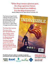 Indivisible Flag Promo - POSTER - 8.5 x 11 INCHES