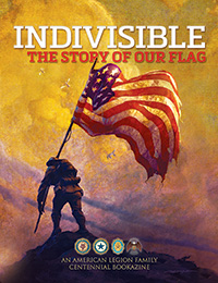 Indivisible Flag Promo - COVER IMAGE - Web Resolution