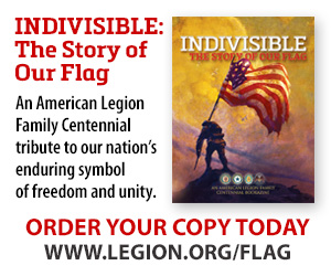Indivisible Flag Promo - WEB AD - 300 x 250