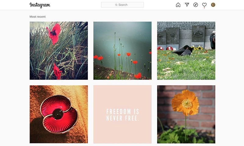 Plant a virtual Poppy Day garden with The American Legion