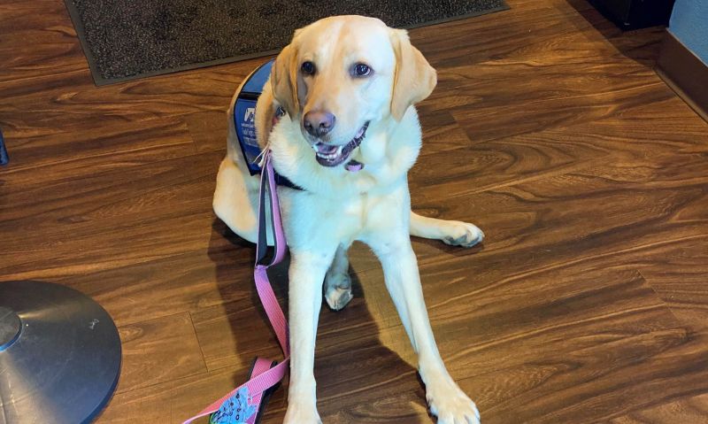 Florida district’s Legion Family providing vital support to service dog programs