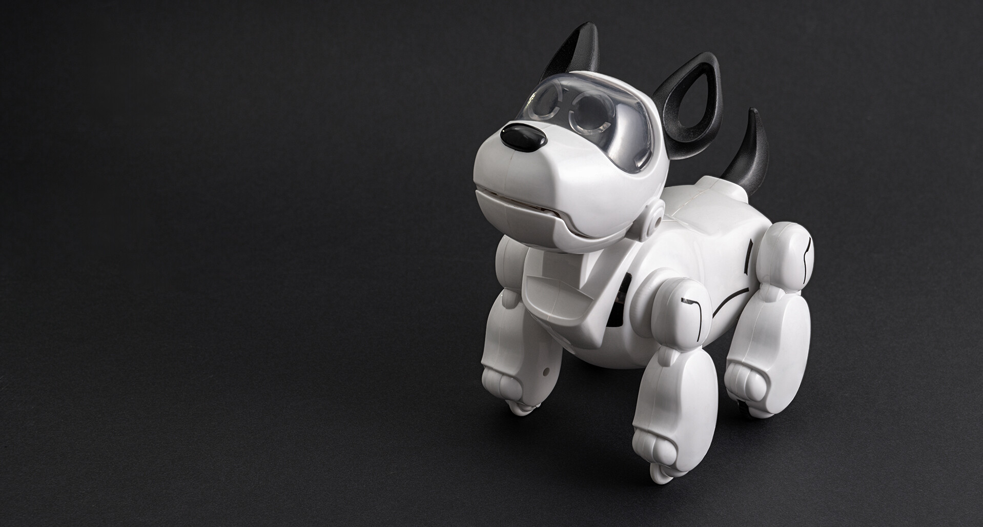 The rise of robotic pets