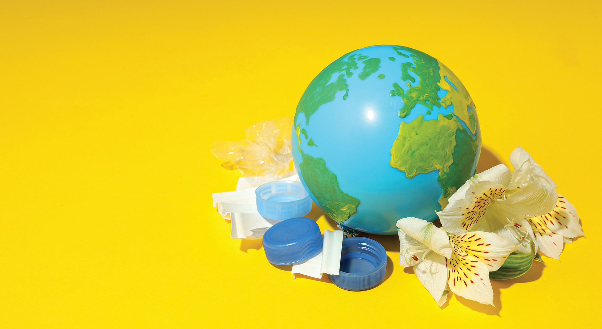 Our planet, our health
