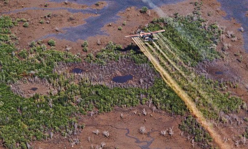 VA proposes rule to extend presumed areas of exposure to Agent Orange and other herbicides