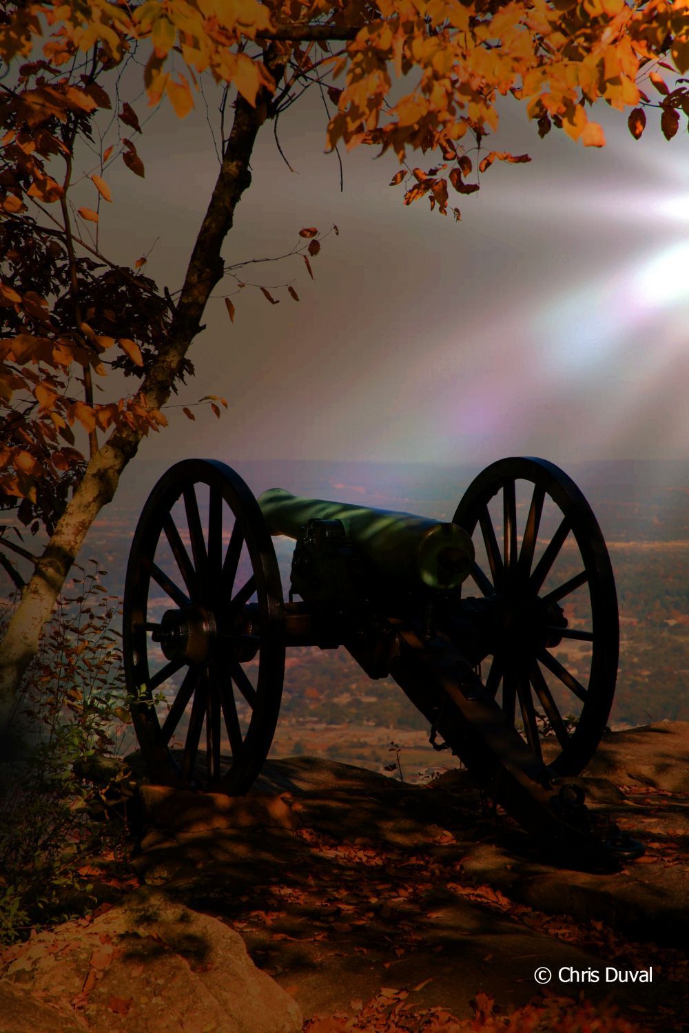 cannon