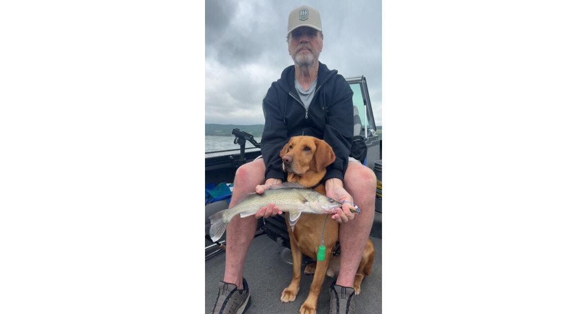 My service dog’s impact: Kurt Kruger