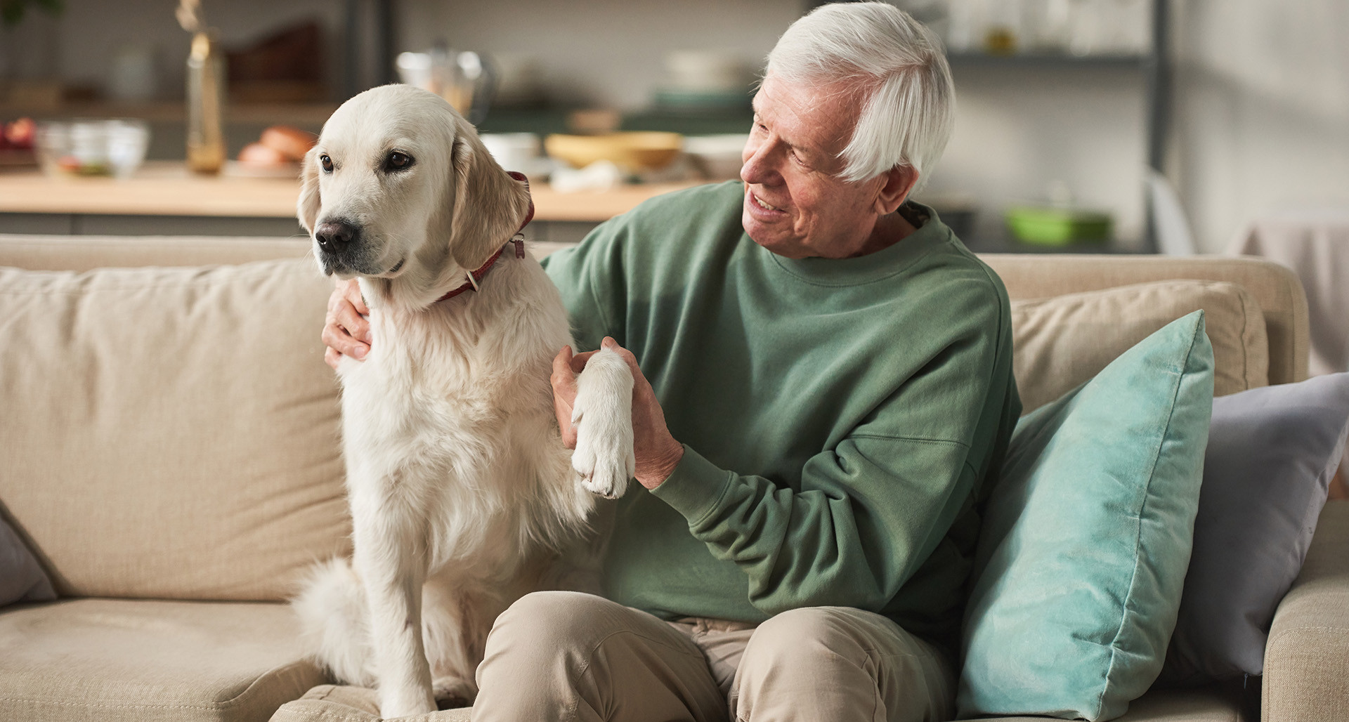 Helpful products for pet owners with limited mobility