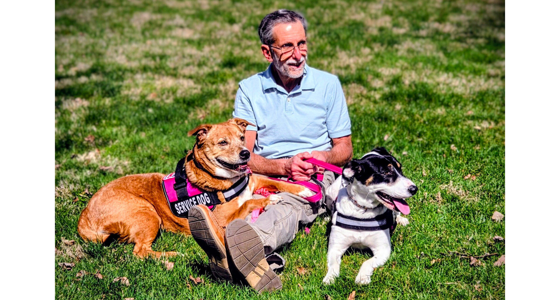 My service dog’s impact: Anthony Dernardo