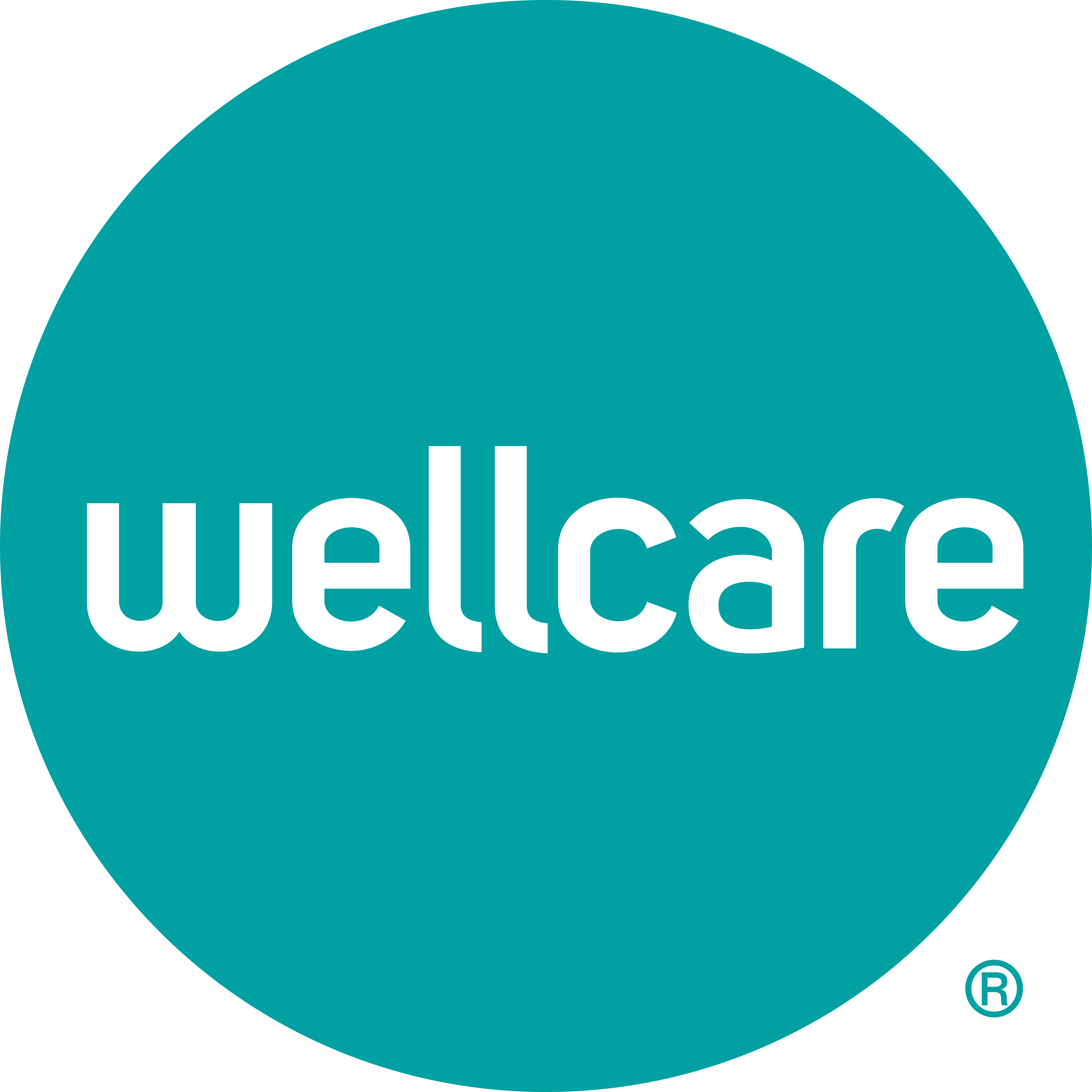 2025-Wellcare-Mark-RGB.png