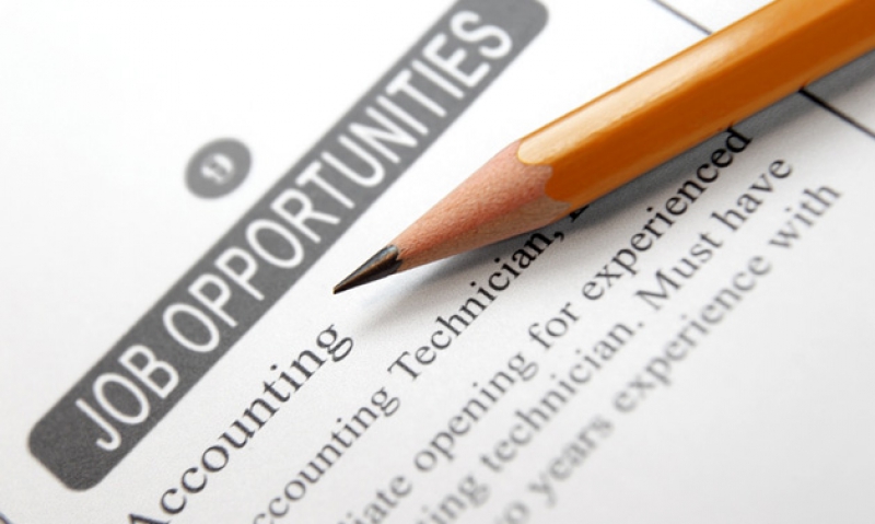Five top job-hunting tips
