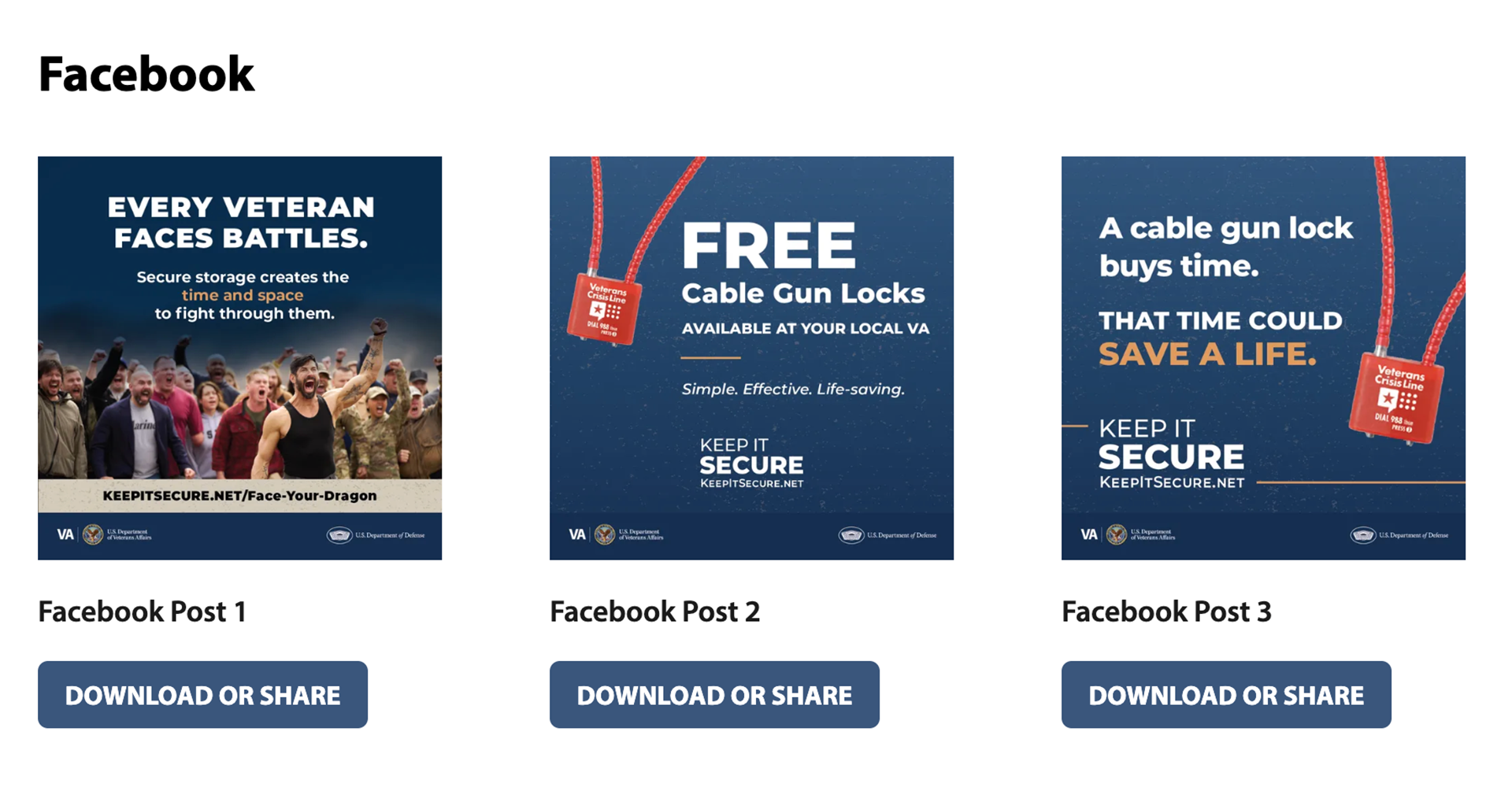 Keep It Secure campaign aims to reduce veteran suicide by lethal means