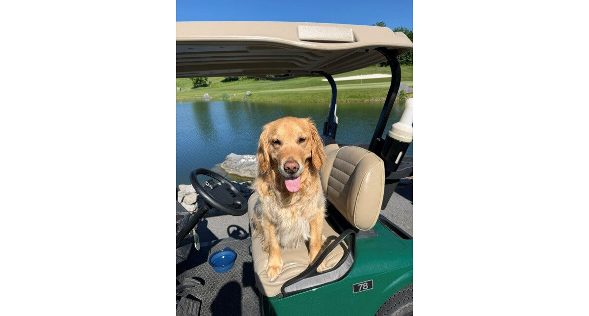 My service dog’s impact: Todd Marral