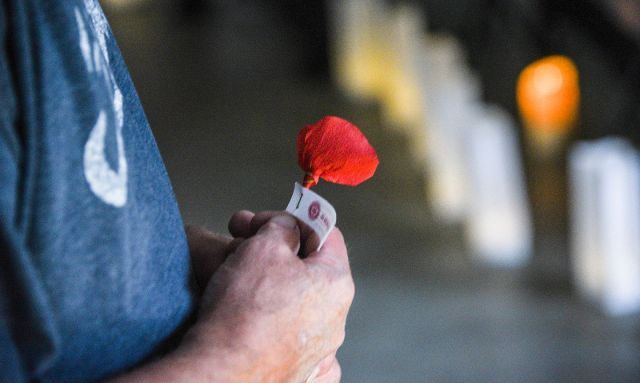 Resources online to celebrate National Poppy Day