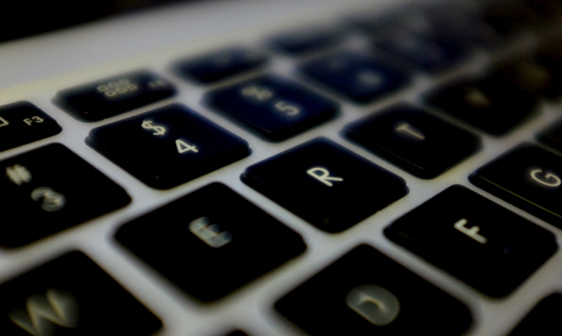 'Vetrepreneurs' should look to Internet to raise capital