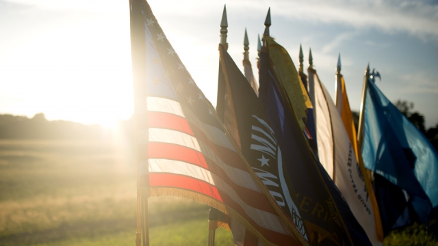 Veterans Day discounts
