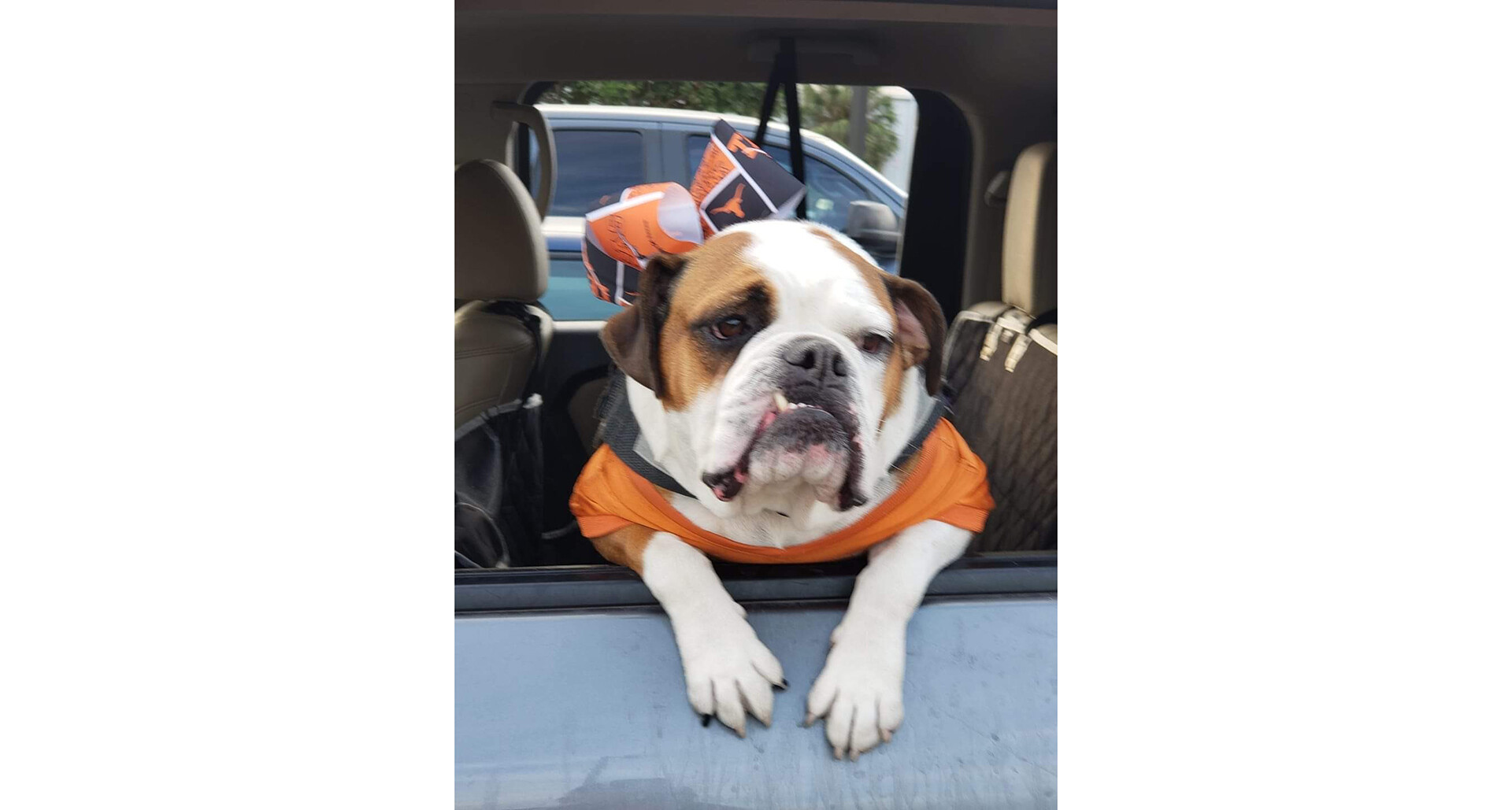 My service dog’s impact: Roland Garza