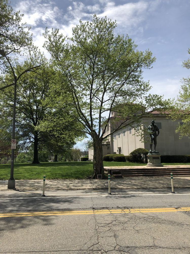 Mothers of Defenders of our Nation Memorial Oak Tree