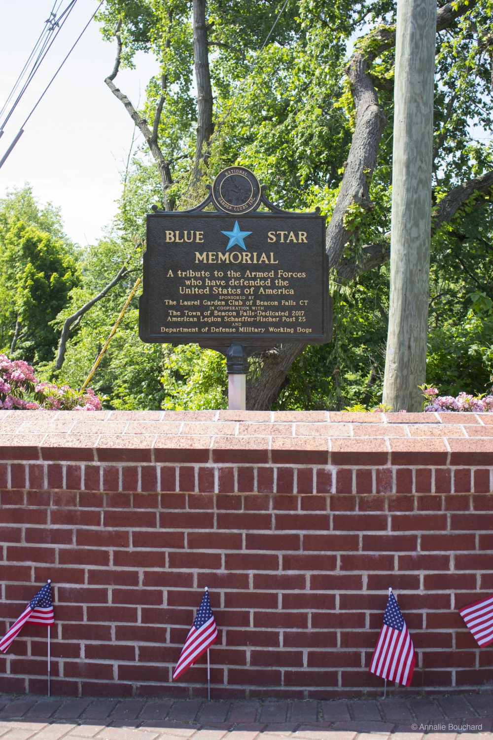 Blue Star Memorial