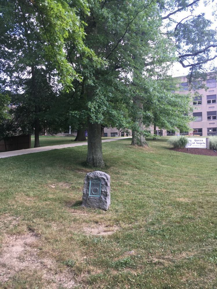 Norwin High School Veterans Grove