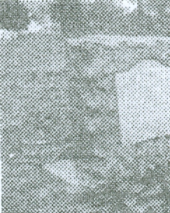 Gen. Kazimierz Pulaski Memorial