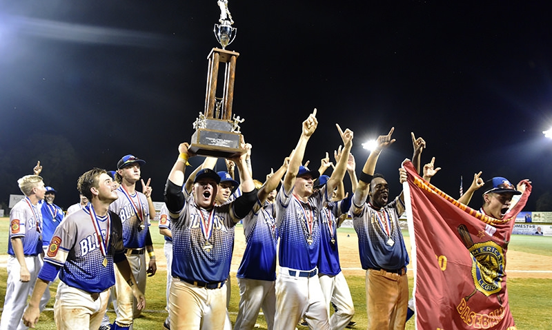 ALWS champions to attend MLB World Series, Play Ball clinic