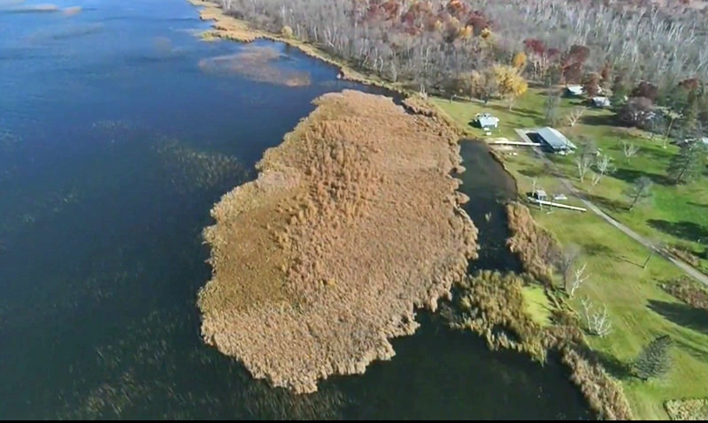 The bog that won’t eat Legionville