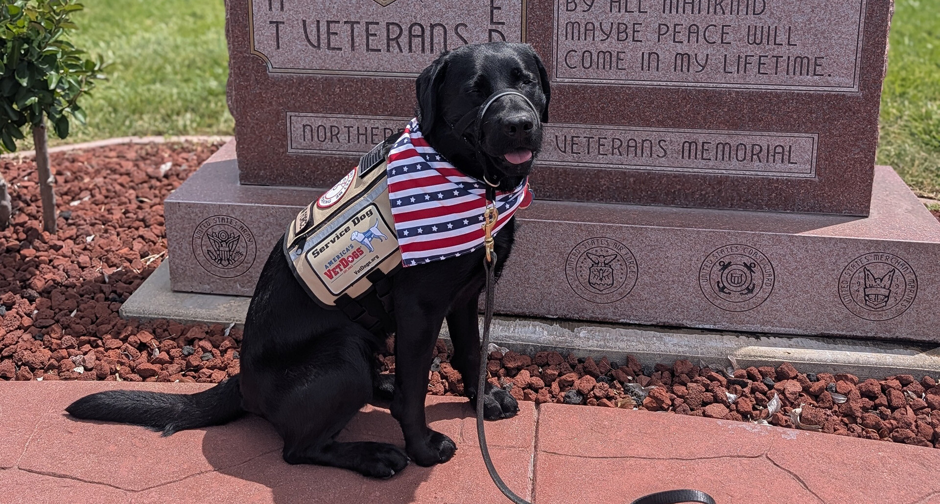 My service dog’s impact: Sharon Hunter