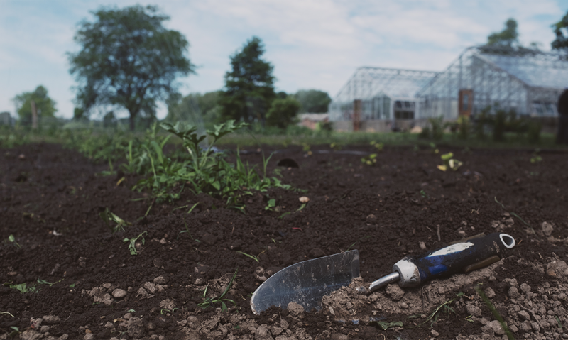 American Legion OCW grant supports vegetable garden for VA patients