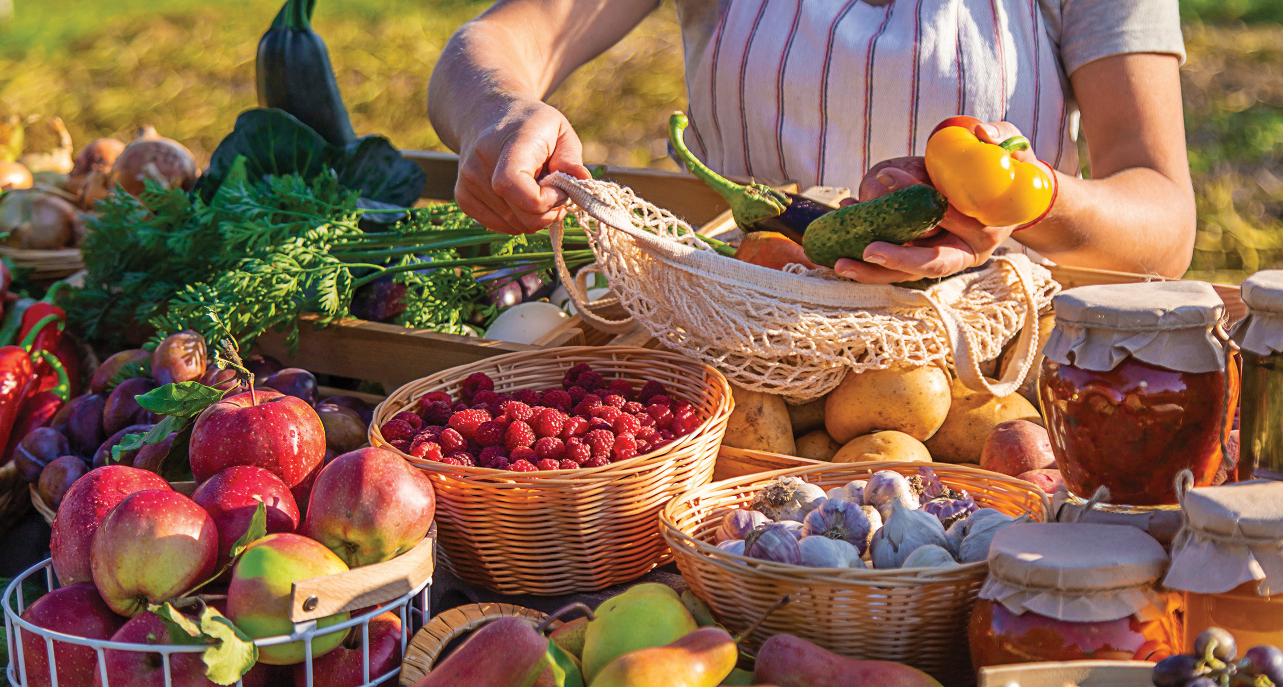 How food quality affects your health