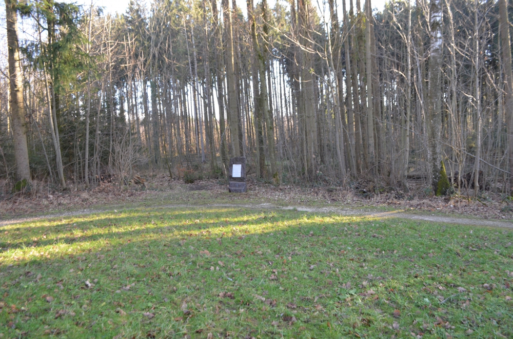 Crash site of B-17 bomber and names of seven Americans who perished