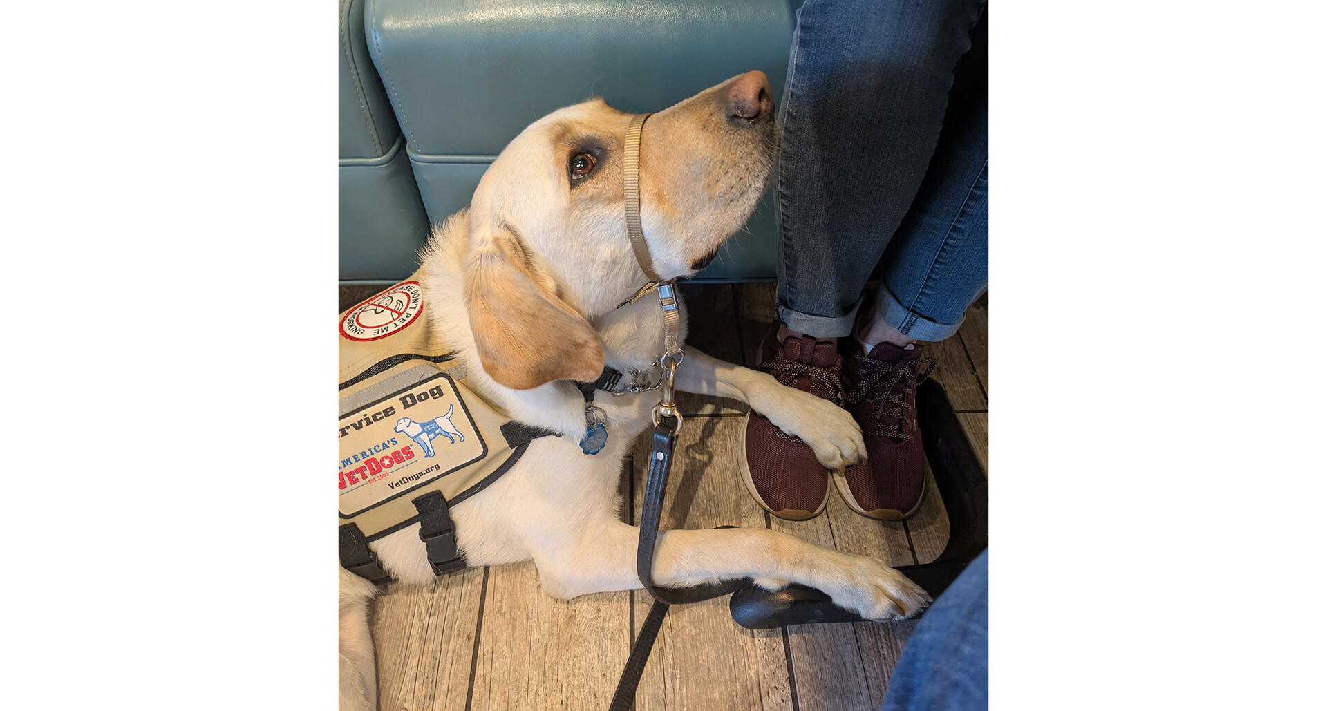 My service dog’s impact: Sallie Dawkins