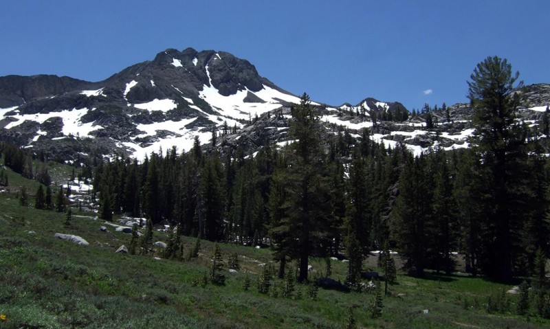 Department Spotlight: California promotes national forest preservation among youth