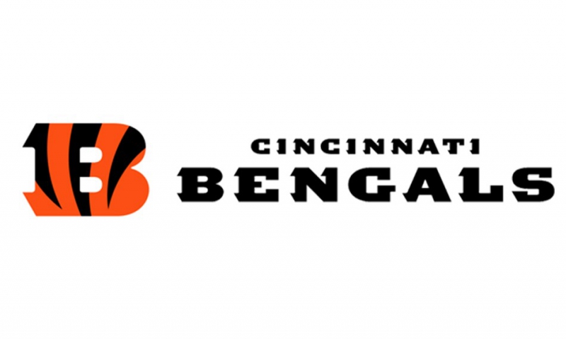 Attend Cincinnati Bengals football game during convention