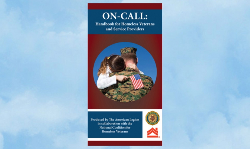 Comprehensive homeless vets guide available