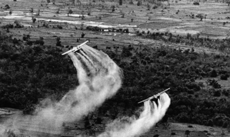 Agent Orange claims must not be delayed