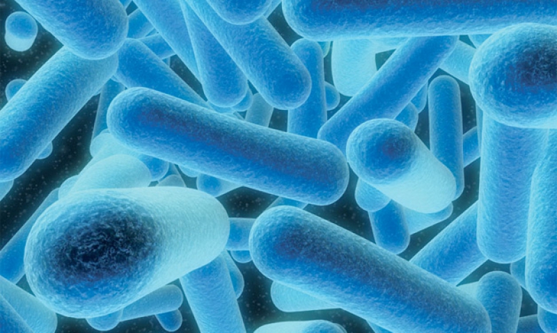 VA reports on Legionella prevention