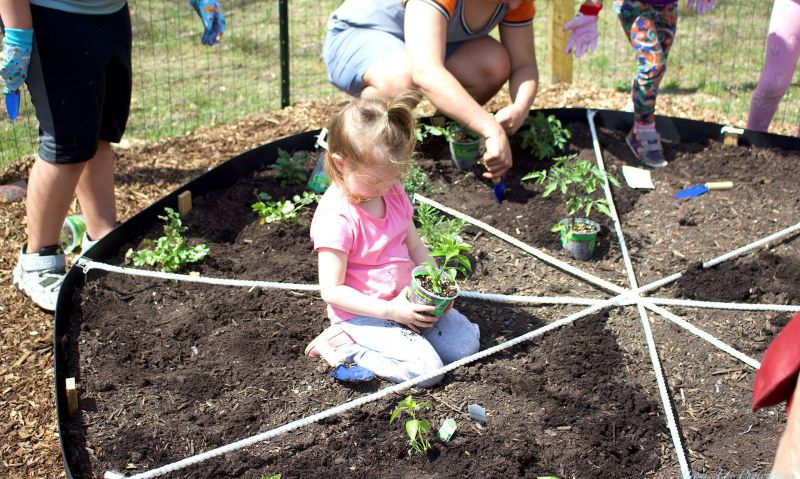 Maryland project aims to get kids interested in gardening